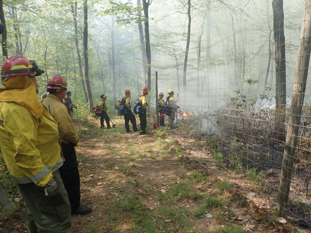 Fire crew keeping control of the prescribed fire.